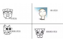 陇南陇南的要账公司在催收过程中的策略和技巧有哪些？